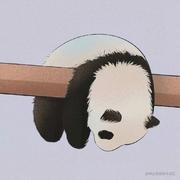 耶斯莫拉_的个人资料头像