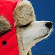 不学无墅ya的个人资料头像