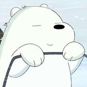 icebear169的个人资料头像