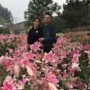 夏留伟的个人资料头像