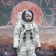 洛雨凌的个人资料头像