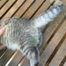 晨默在掘金的个人资料头像