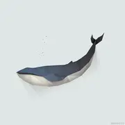 韩贺飞的个人资料头像