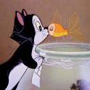 怡不自知然的个人资料头像