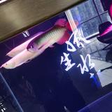 一切照旧666头像
