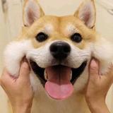 读者10086头像