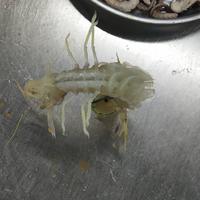 用户5026259776543头像