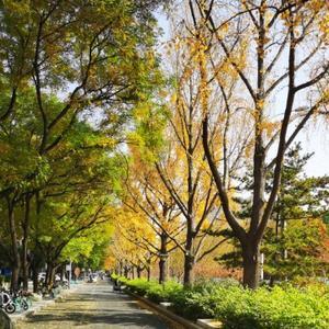 在井冈山上头像