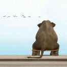 FLASH54041的个人资料头像