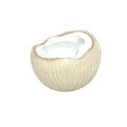 椰子yea的个人资料头像