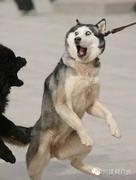 娃嘻嘻的个人资料头像