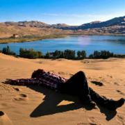 tycho的个人资料头像