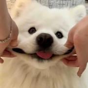 ihbd的个人资料头像