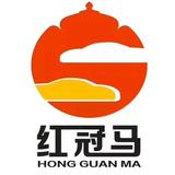 广西红冠马汽车头像