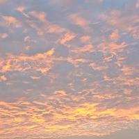 微笑百香果CL2头像