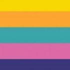 qq15725的个人资料头像