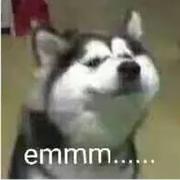 scruom的个人资料头像