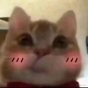 遗憾的不该是我_的个人资料头像