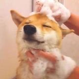 一枚咸蛋。头像