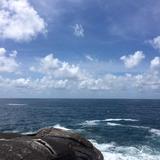 平淡42437头像