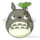 yyl直线的个人资料头像