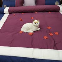 舌尖上的猫腻头像