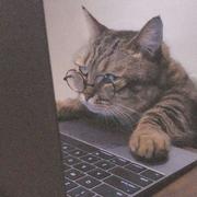 以安yian的个人资料头像