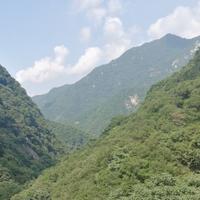 不合适呀头像