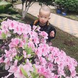 用户7915047131283头像