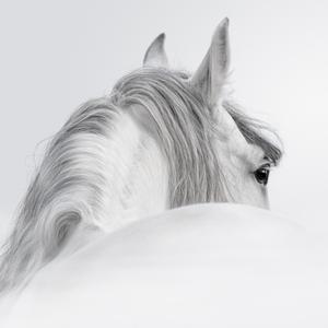 热情的饭团UT7hiD头像