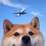 MINGe头像