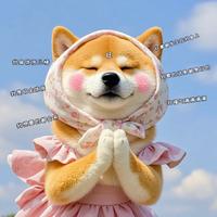 只吃冻榴莲的i人头像