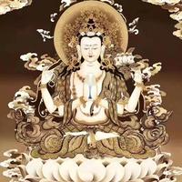 晴天家龍哥头像