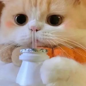 麻蛋头像