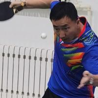 安逸春风FX头像