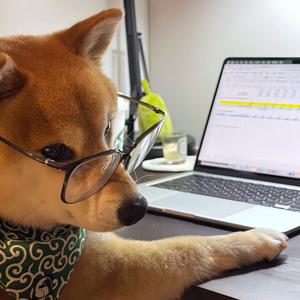 外设圈最后的深情头像