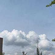 王孙将归的个人资料头像