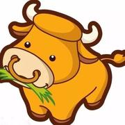 戴婷婷的个人资料头像