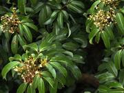 好运常伴丶的个人资料头像