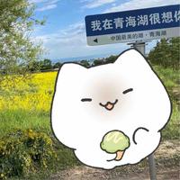 风趣奶酪yUdOMi头像