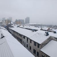 忍者2005头像