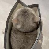 用户1485532254955头像