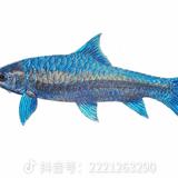 星婷泽熙头像