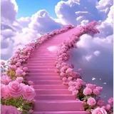 灵巧荷叶sOt头像