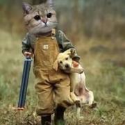 Cowboysarebusy的个人资料头像
