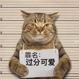 康总呐头像