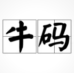 纯牛码的个人资料头像