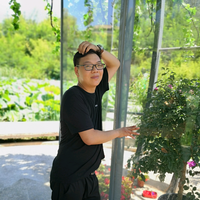 城市麋了鹿头像