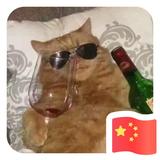 A俊锋126头像