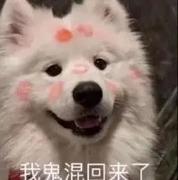 萨大耶的个人资料头像